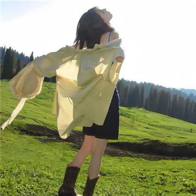 乌龟的壳其实是肋骨海报