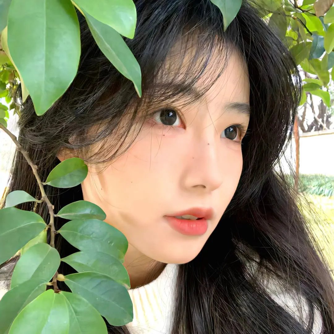 歌女怀春海报