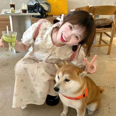 恋爱的正确标记法海报