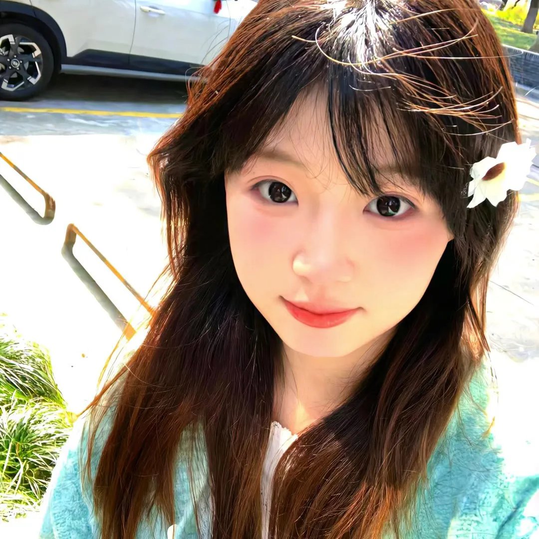 白狼海报